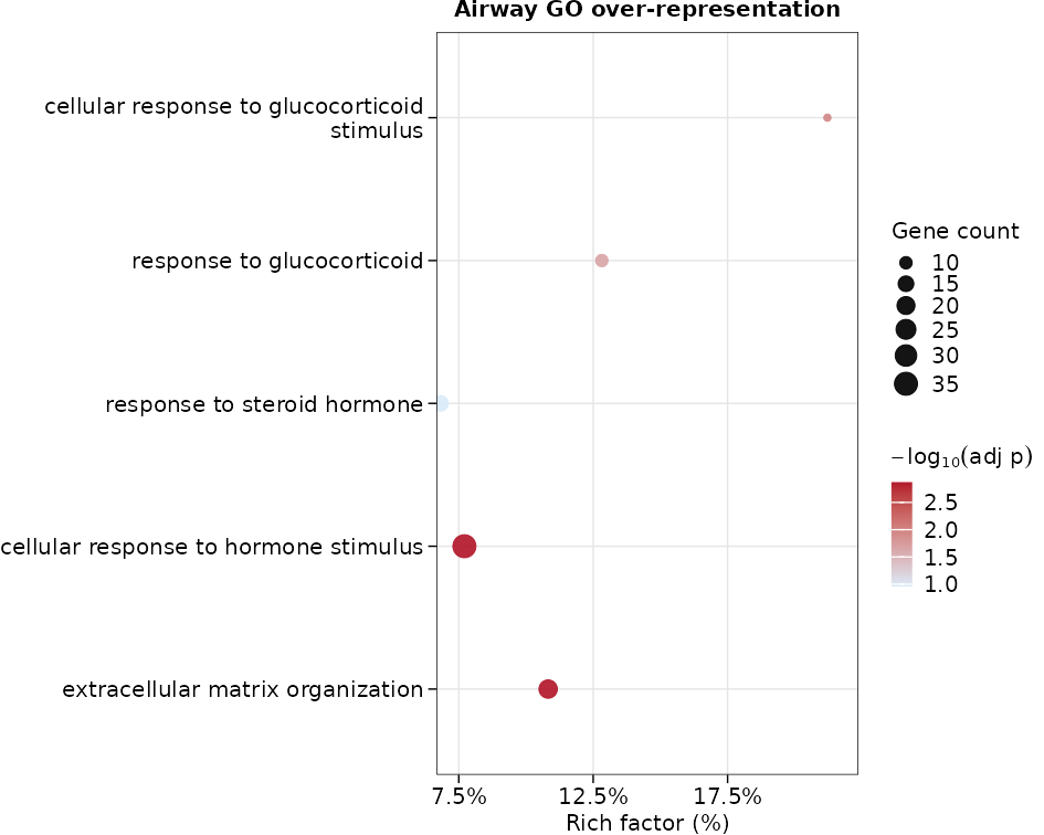 五个 airway GO 条目的 ORA 气泡图,横轴为 rich factor,点大小为命中基因数,颜色为 adjusted p-value 证据。